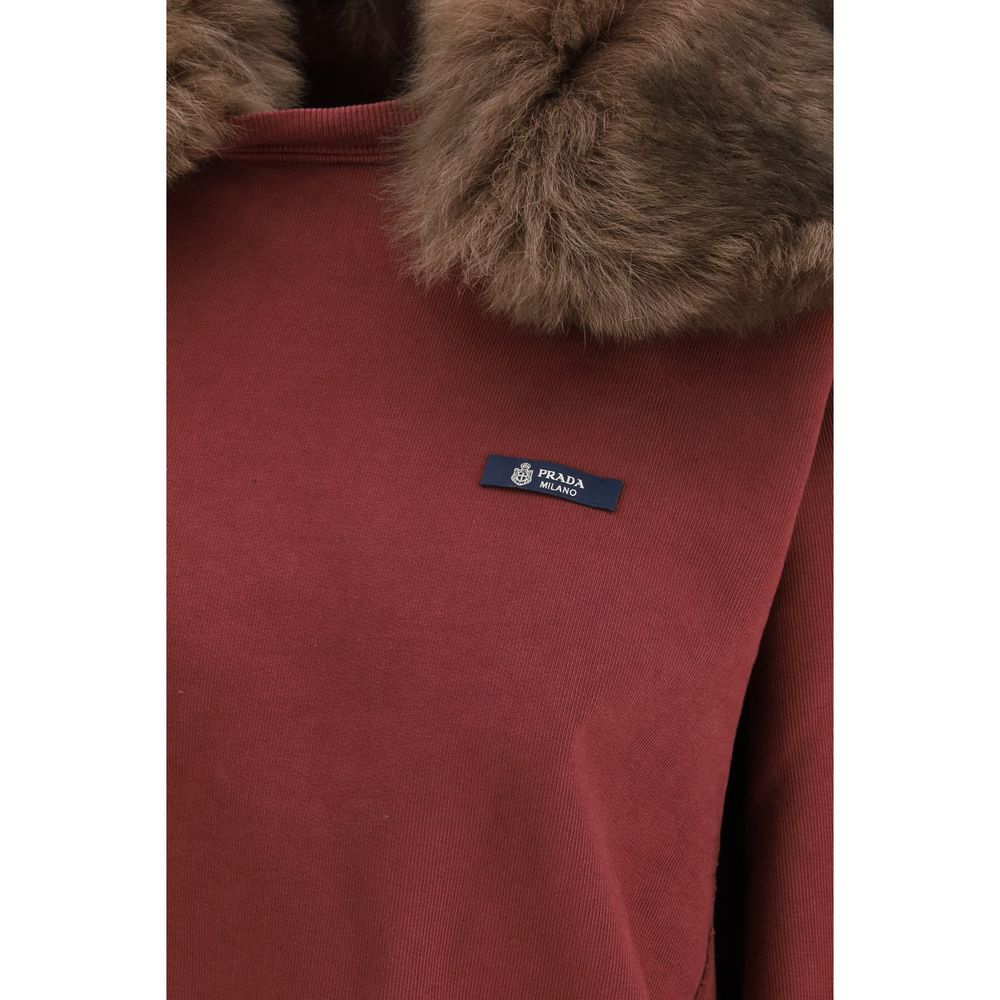 Burgundy cotton sweatshirt