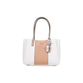 Borsa Bramina
